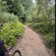Adventure Awaits on the Redwood Trail