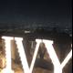 Vivid Viv Sign Lights Up the Night Sky