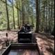 Journey through the Redwoods