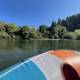 Serene Kayak Ride on the Russian River