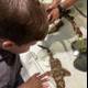 Aquatic Wonders