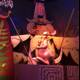 Majestic Wildlife on Display at Disneyland Resort
