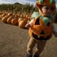 Harvest Euphoria: Wesley's First Pumpkin Patch Visit