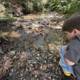 Creekside Curiosity