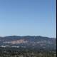 Soaring Over Walnut Creek