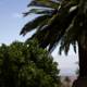 Oasis at Hearst Castle