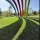 Curves of Color in Cupertino