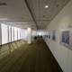A Walk Through the Artistic CNSI Hallway
