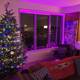 Purple Glowing Christmas Tree
