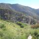 Train Ride Through San Gorgonio Wilderness