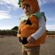 Pumpkin Harvest - Wesley's Adventure at Halfmoon Bay