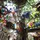 The Eclectic Tree of Austin Trash Chapel