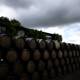 Wine Barrels in Napa Valley