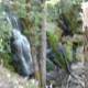 Majestic Waterfall amidst Lush Greenery