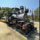 The Locomotive and the Wooden Shed