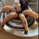 Succulent Shrimp Feast