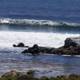 Coastal Serenity at Cayucos