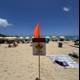 Caution and Calm: A Day at Waikiki Beach