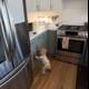 Curious Explorers in the Kitchen