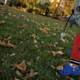 Jubilance in Autumn: Frisbee Frolics in Sonoma Park