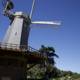 Windmill Watchers at Golden Gate Park