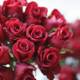 Bouquet of 13 Ravishing Red Roses