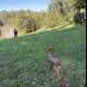 Chasing Joy in Guerneville