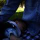 Afternoon Slumber in the Park, 2023