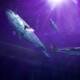 Luminescent Seascape - The Underwater Ballet