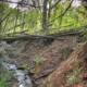 Serenity Creek