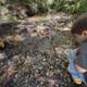 Childhood Curiosity by the Creek