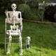 Bone-chilling Backyard Visitor