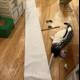 Creative Moments on Wooden Floors