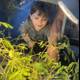 Curious Hearts and Growing Green