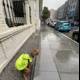 Urban Canine on Safety Duty