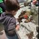 Curious Explorations at the Touch Tank