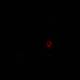 Red Light in the Dark
