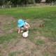 Summer's Child: Playtime in the Field