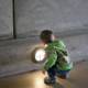 Illumination and Curiosity - SF Zoo, Spring 2024
