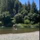 Kayaking Adventure on the Russian River