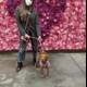 Masked Woman and Beagle Pose in Front of a Floral Wall