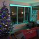 Festive Living Room with Christmas Tree and Window View