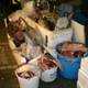 Pile of Fresh Tuna on a Tokyo Street Corner