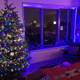 Festive Living Room with a View
