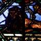 The Fierce Lion in Stained Glass