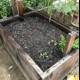 Raised Garden Bed with Potted Plants