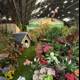 Whimsical Garden Oasis