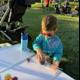 Summer Sweets in the Park
