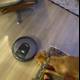 Curious Canine and the Robot Vacuum