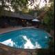 Resort-style Pool in Altadena Backyard